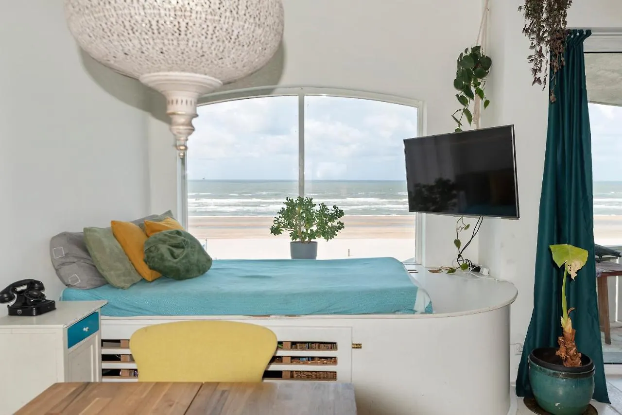 Beautiful Beachfront Apartment Zandvoort